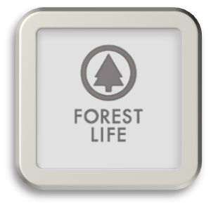 FOREST LIFE LLC